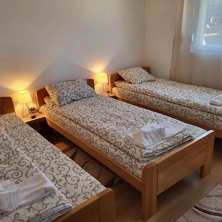 Vuk Apartman Donji Milanovac Zewnętrze zdjęcie